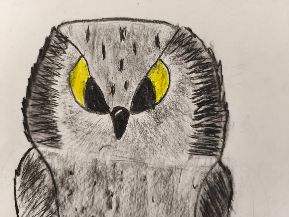 Obrázok z Facebooku