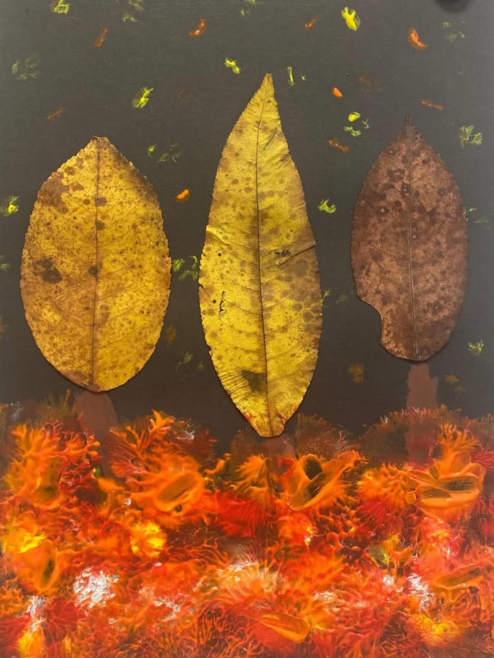 Obrázok z Facebooku